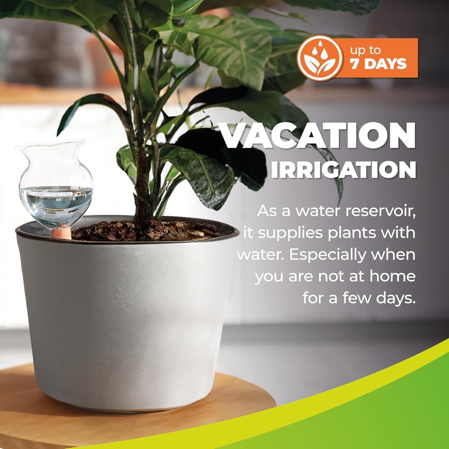 Hydro Bloom 12-Pack Automatic Plant Watering Bulbs - Easy Care for Busy Lives