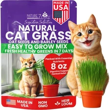 Premium Cat Grass Seeds for Indoor Cats, Non GMO - 1/2 lb Oat & Barley Grass ...
