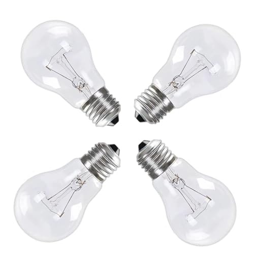 A19 Clear Incandescent Rough Service Light Bulb, 100 Watt In