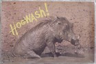 Hogwash! Vintage Hog Poster 1978 Laminated 21x14