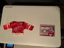 NHL Henrik Zetterberg Jersey Card And Mini Je...