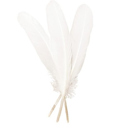 50pcs White Feathers 8~10 in,Beautiful Bulk Long Feather for 