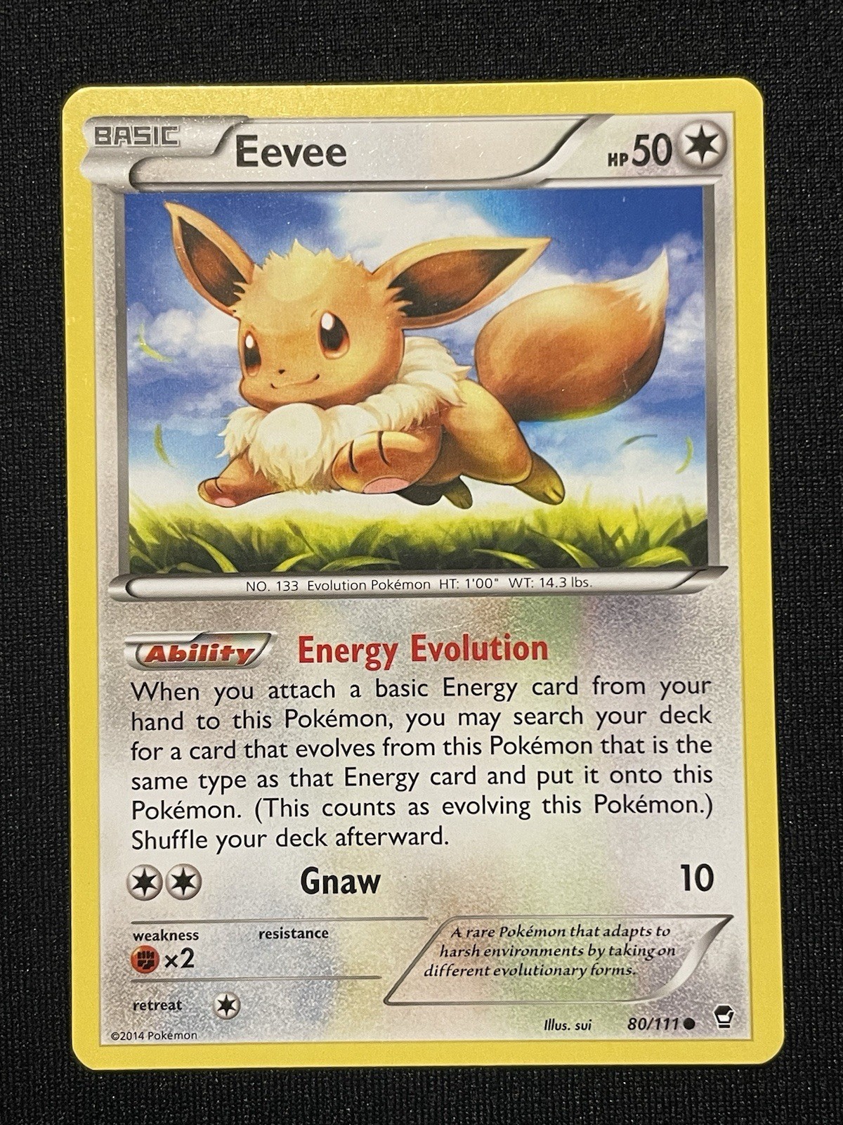 Eevee 80/111 XY-Furious Fists Regular NM/LP Condition