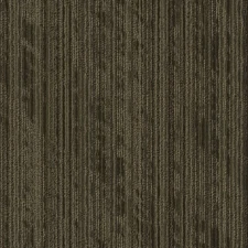 Shaw 54919 Philadelphia Commercial Sort 24" x 24" Glue Down - Wrap