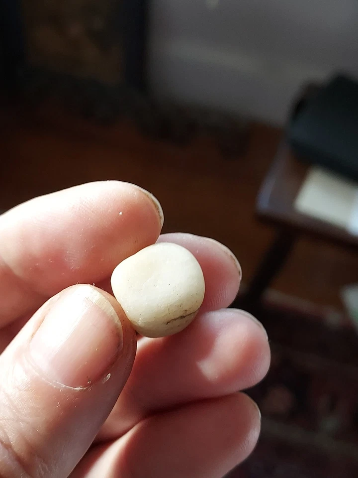 Ancient Natural Clam Pearl - Image 2 of 3