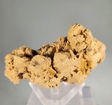 BARITE - Fossa di sabbia, Rockenberg, Assia, Germania