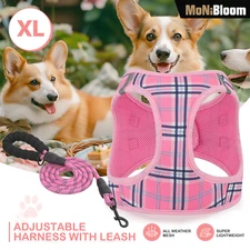 Dog Harness Breathable Mesh Adjustable Control Reflective Vest & Leash Set Pink