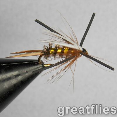 1 dozen (12) - Prince Nymph - Rubber Legs