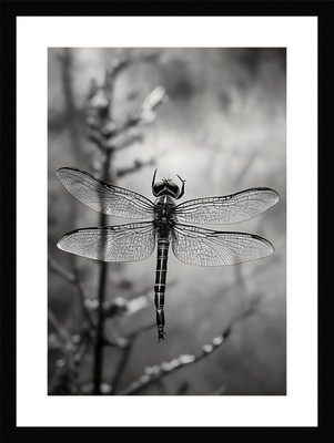 Epische Libelle gerahmtes Wandbild Poster Leinwanddruck Bild