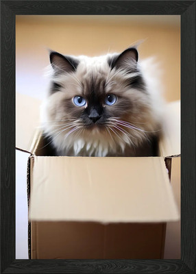 Stoffpuppe Katze im Karton Box gerahmt Wandbild Poster Leinwanddruck Bild