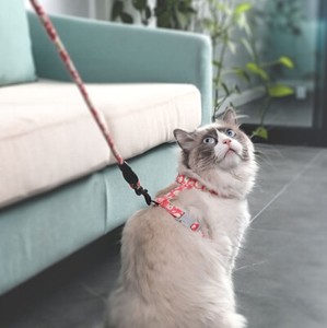 ebay cat harness