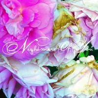 Nightmare Of You - Vinyl Record - G3Z