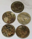 Lot of  Five (5) USA Buffalo Nickel 1930, 1936, 1937 & 1937-D COINS Collection