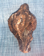 Natural Driftwood Burl for Fish Reptile Aquariums, Crafts, Decor 8x5x4