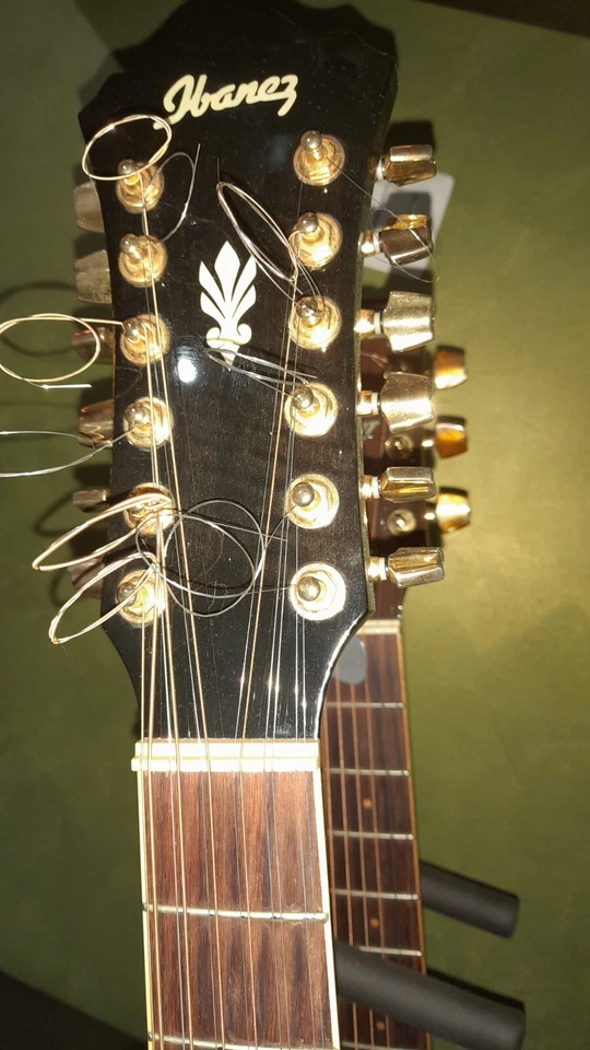 Ibanez guitar 12 corde elettrificata  - Immagine 3 di 4