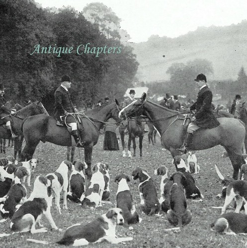Hambledon Hunt Meet 1908 Photo Article F979