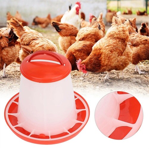 1.5KG Chicken Drinker Poultry Water Feeder Hen Drinking Automatic Waterer UK - 第 9/21 張圖片