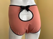 Passionata by Chantelle soft high cut brief NWT red brick size Large