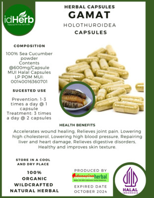 {idHerb} CAPSULE GAMAT HOLOTHUROIDEA NATURAL ORGANIC HERBAL FRESH