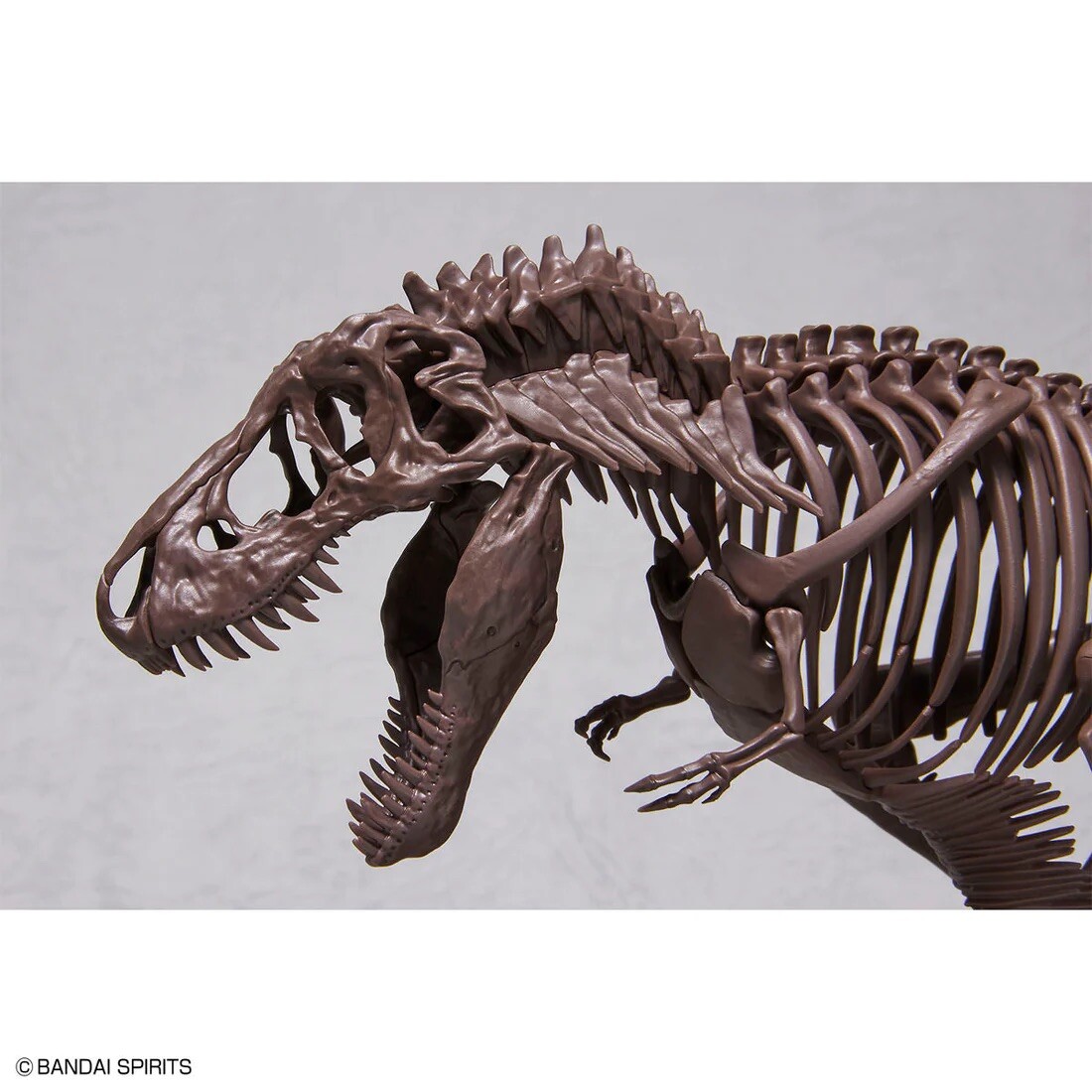 Bandai 1/32 Imaginary Skeleton Tyrannosaurus | eBay