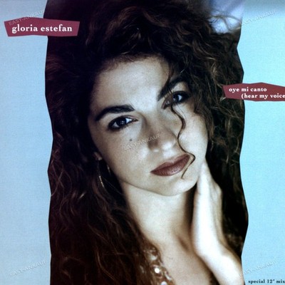 Gloria Estefan - Oye Mi Canto Maxi (VG+) '*