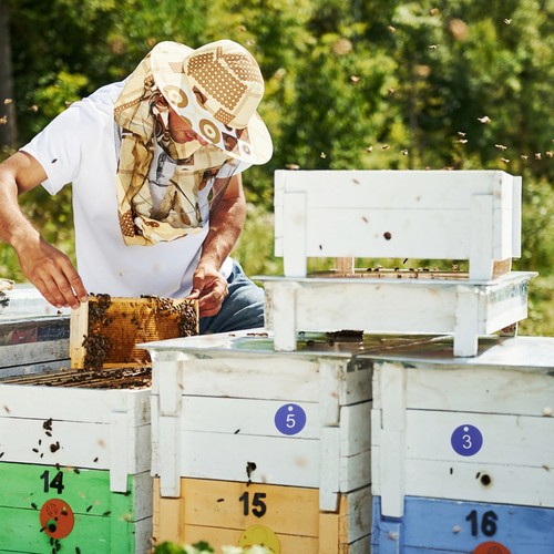 20 Pcs Nummernschild Büro Bienenstock-Nummernschild Aus Kunststoff - 第 11/12 張圖片
