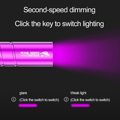 UV Flashlight Portable Ultraviolet Light Torch Black Light Pet Urine Detect GX - Picture 21 of 26