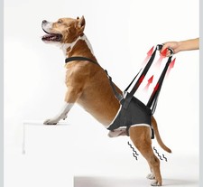 Dog Sling for Medium Dogs Hind Leg Support Rear Leg Lift Harness XUVIRA M Black