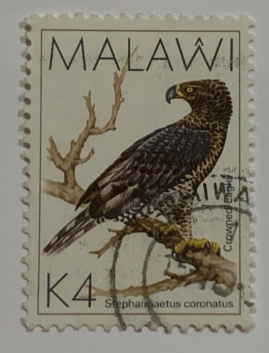 Travelstamps: MALAWI Stamps Scott #532, used postage stamp, bird, K4 - Picture 5 of 5