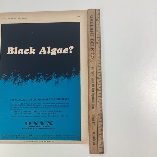 Swimming Pool Print Ad Vtg 1968 Rare Black Algae? Onyx Chemical Jersey City NJ - Picture 3 of 8