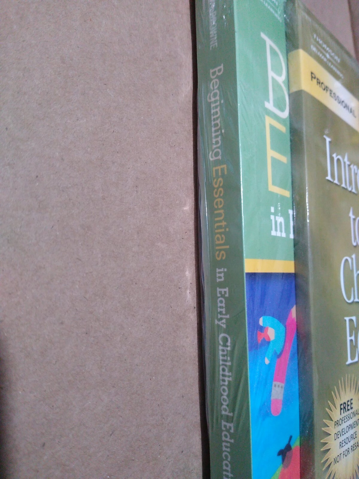 Beginning Essentials in Early Childhood Education by Ann Miles Gordon