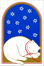 Vintage Postcard Maine Advertising Bookland Book Store Sleeping Cat 1985