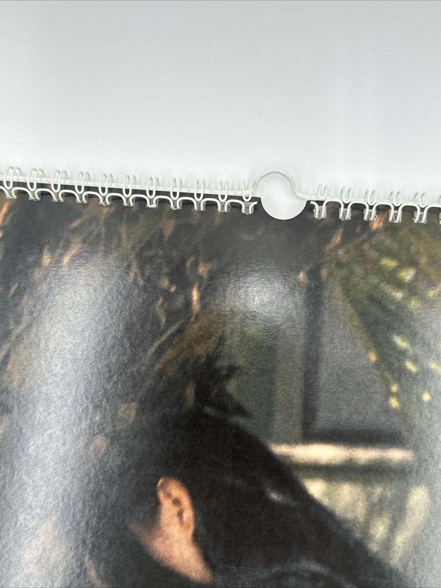 Supreme Larry Clark Calendar 2005 Used | eBay