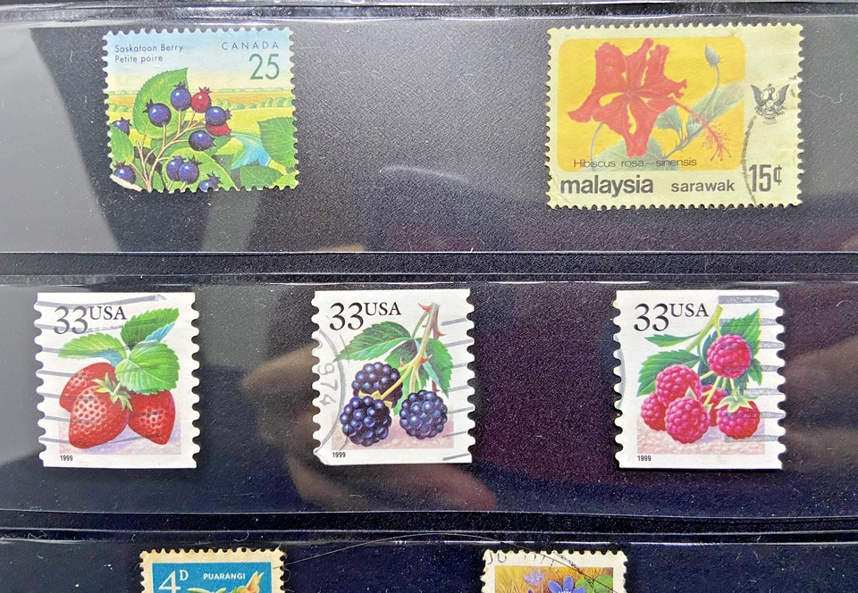 Lot of 8 Vintage Stamps – USA Fruit, Canada, Malaysia, NZ, Finland Flowers - Image 3 of 4