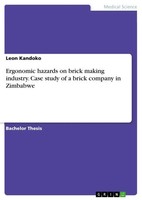 Leon Kandoko | Ergonomic Hazards On Brick Making Industry. Case Study Of A...
