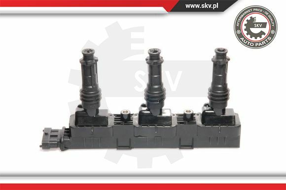 Esen SKV ZüNdspule ZüNdmodul FüR Opel Corsa C 1.0 1.0I 12V Agila (A)-image