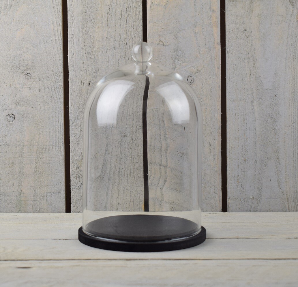 EMH Handmade Clear Circular Glass Cloche Dome Bell With Knob and Black Wooden...