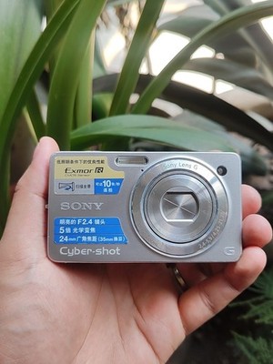 Sony Cyber-shot DSC-WX1 10.2MP Digital Camera - Black for sale