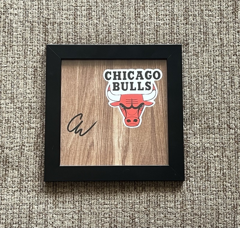 Coby White Chicago Bulls Signed/Framed Floorboard Autograph COA