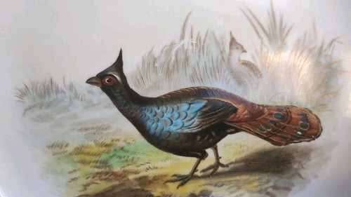 Antique Royal Worcester Vitreous Game Bird Plate Hand-Painted Gold Trim 9" See D - Picture 6 of 10