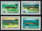 Romania WWF Sturgeons Fish 4v 1994 MNH SG#5660-5663 MI#5034-5037 Sc#3954-3957