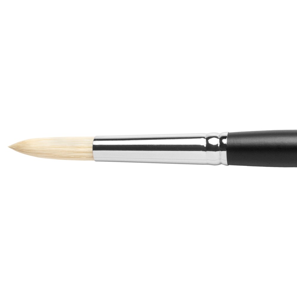Jackson's : Shiro : Professional Hog Bristle Hair Brush : Round : No.8