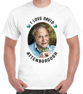 t shirt david