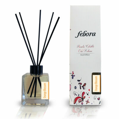 Aromatic Reed Diffuser FEBORA 3.4 OZ /100ML+5 reed stick pick your scent