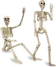 2 Pack 24"Halloween Skeleton - 2 ft Life Size Human Skeleton with Full Body Posa