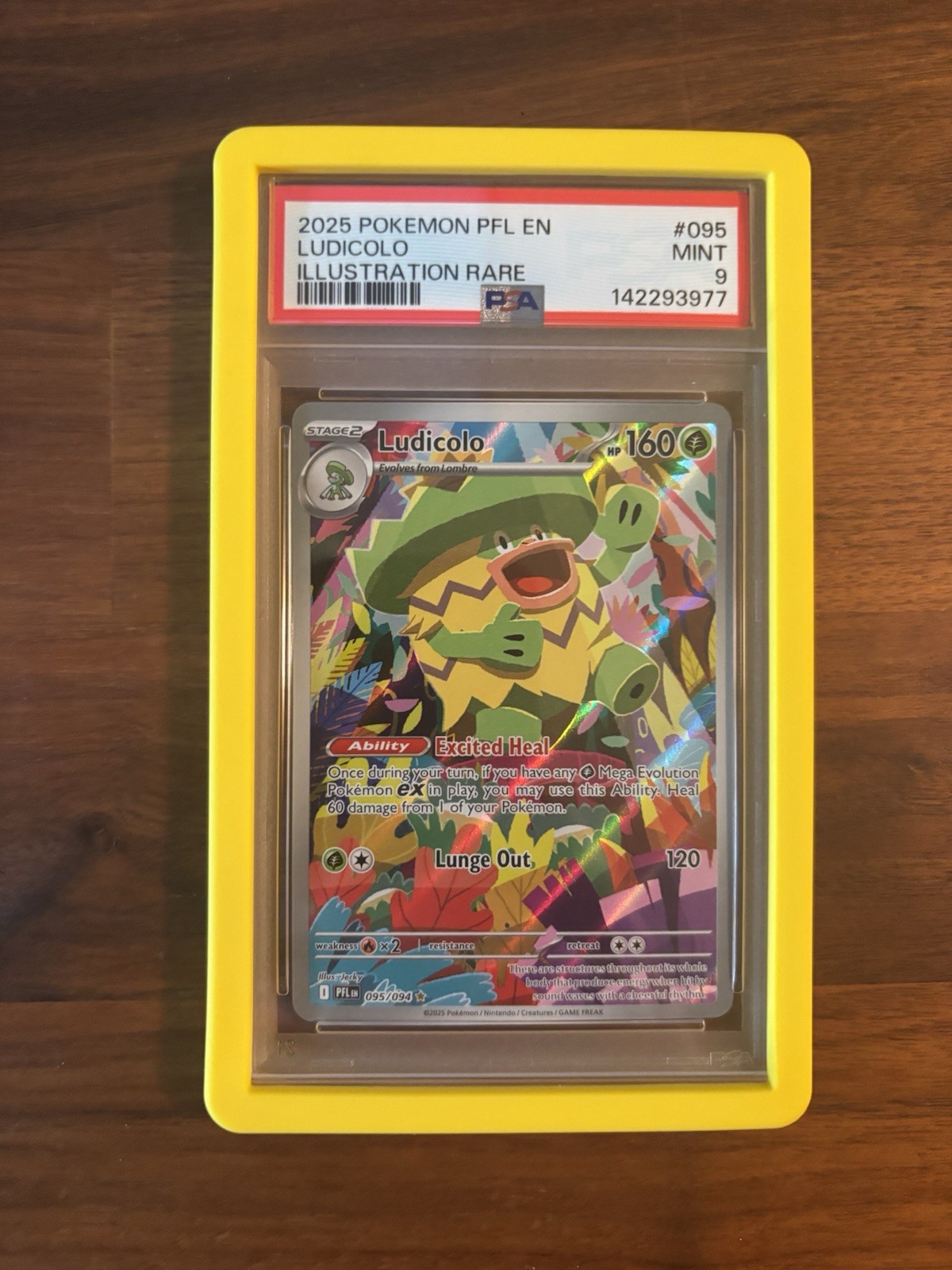 2025 Pokemon Ludicolo 095/094 Illustration Rare PSA 9 English (Guard included)