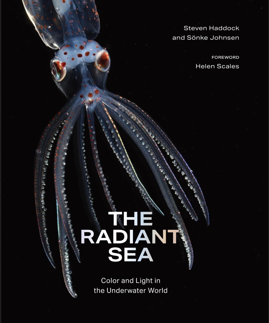 The Radiant Sea by Sönke Johnsen (Hardback Book) - Image 8