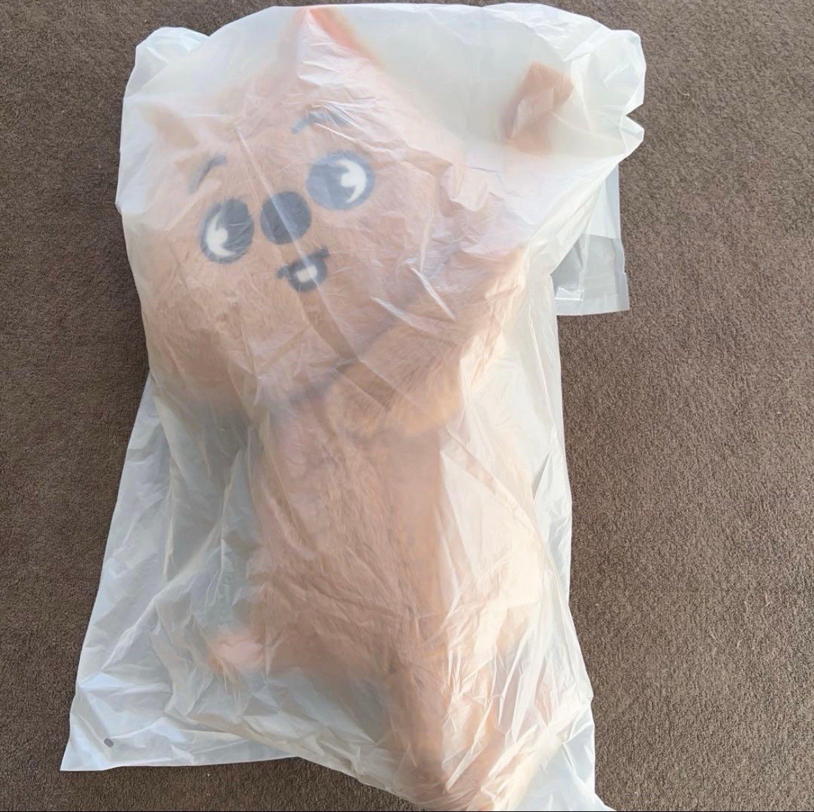 Stray Kids SKZOO HAN QUOKKA Plush Bag K-pop Official New Dominate