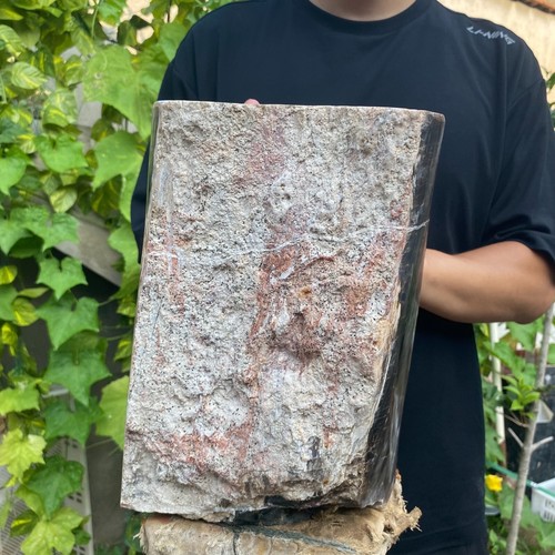 37lb Rare Natural petrified wood rough Wood fossil mineral specimen healing - Picture 10 of 18