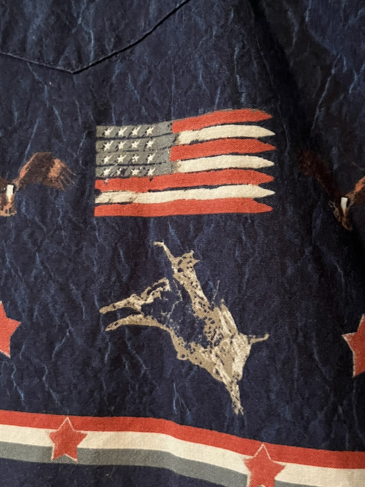 Picture 6 of 6